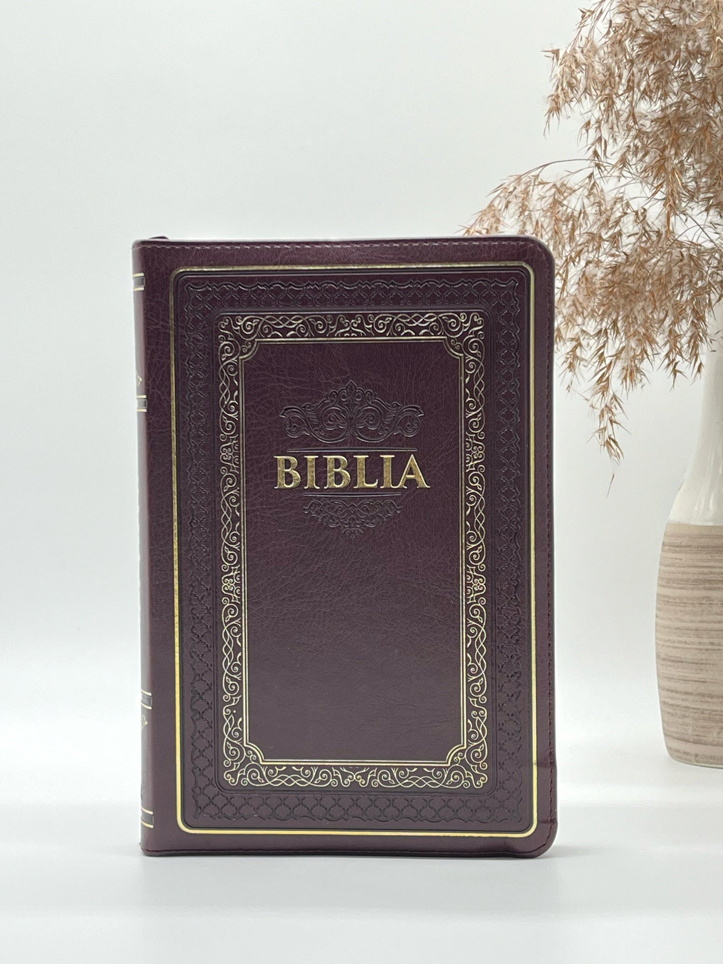 Biblia ST 056 ZTI - Vișiniu