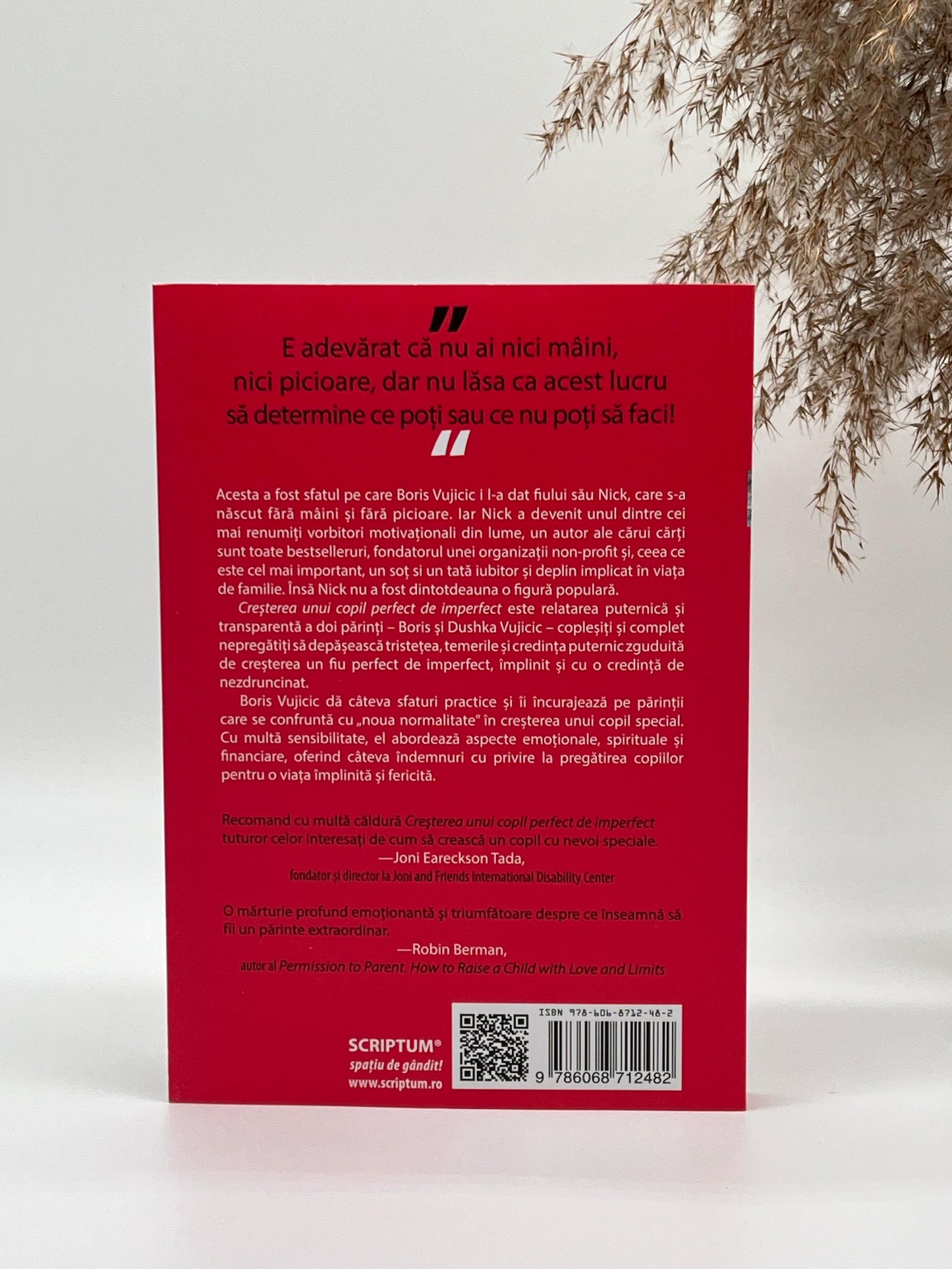 Creșterea unui copil perfect de imperfect - Boris Vujicic