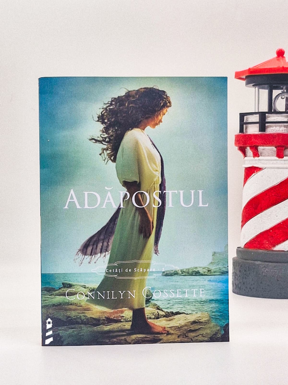 Adăpostul - Connilyn Cossette