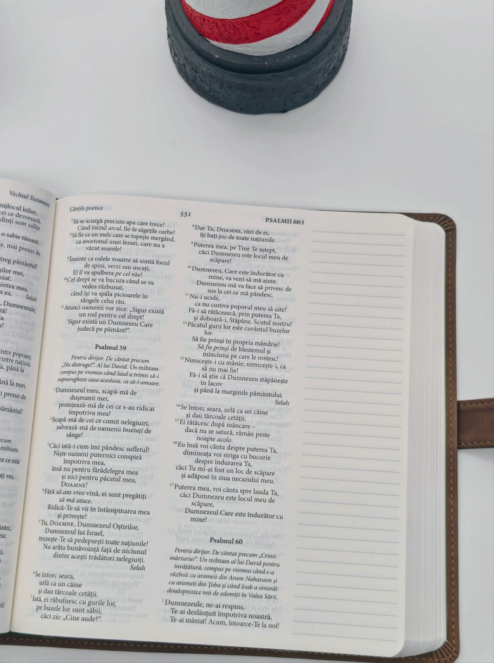 Biblia Jurnal Rustic