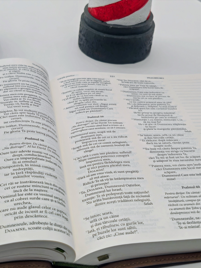 Biblia Jurnal Rustic