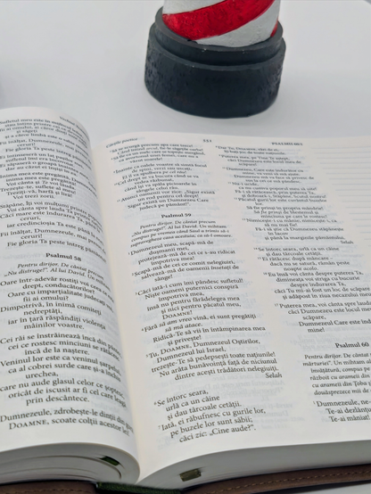 Biblia Jurnal Rustic