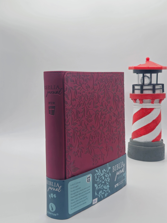 Biblia Jurnal Artistic