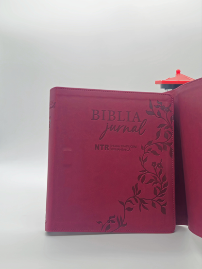 Biblia Jurnal Artistic