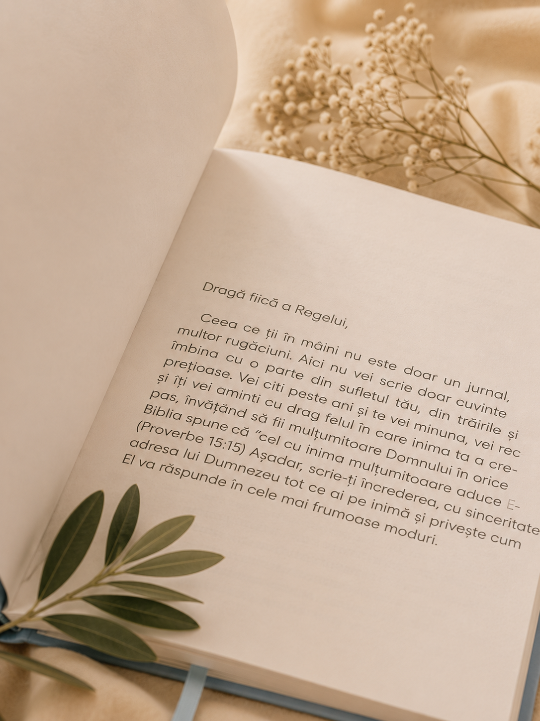 Jurnal de recunoștință