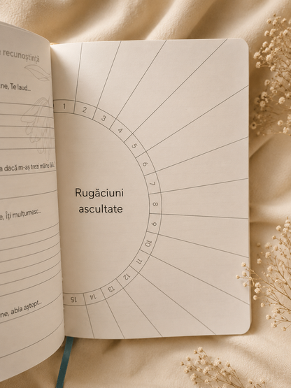 Jurnal de recunoștință