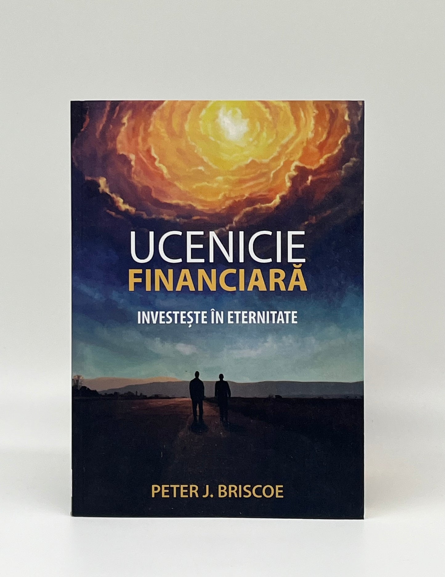 Ucenicie financiară - Peter J. Briscoe