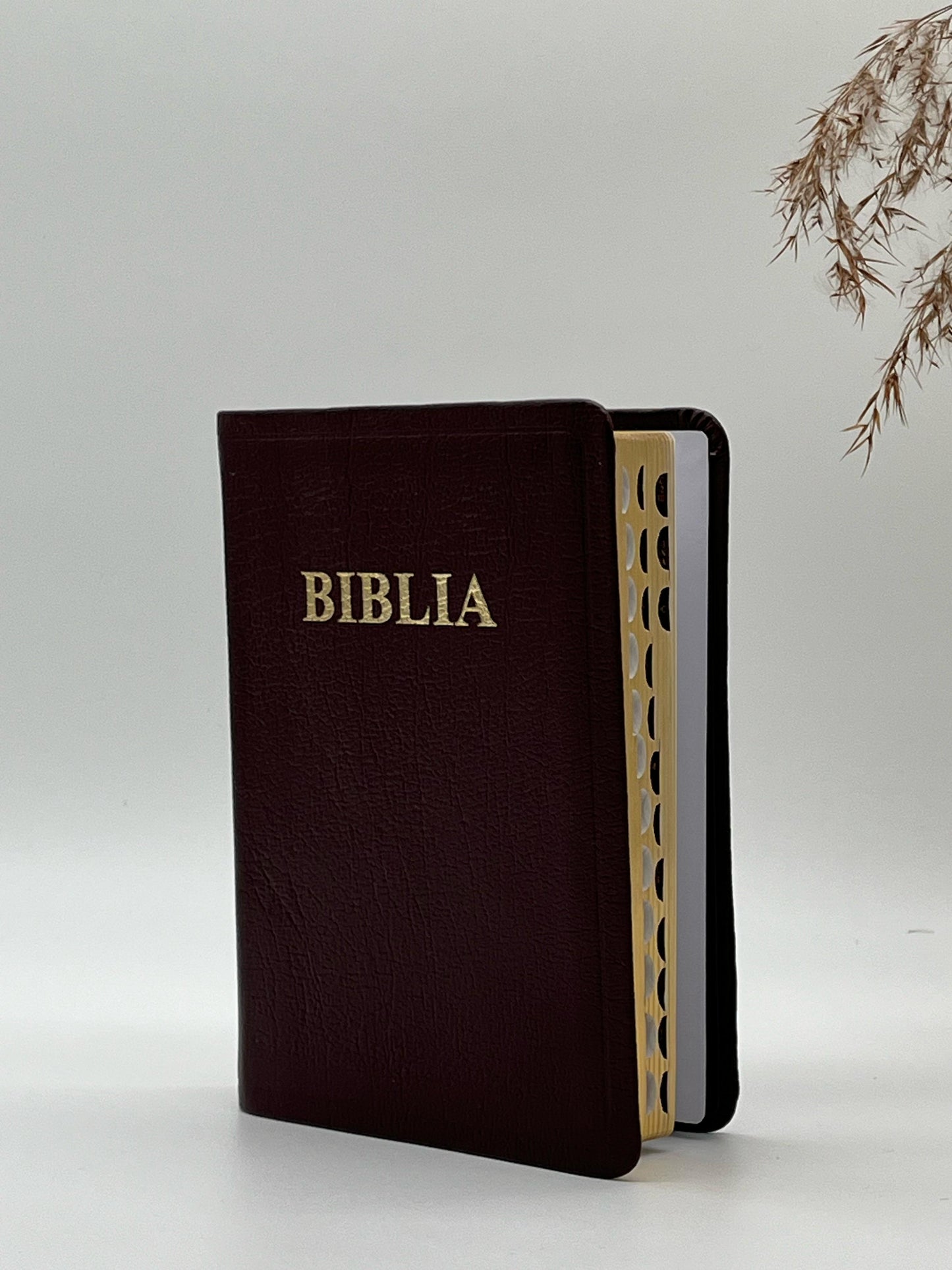 Biblia SBR 047 TI - vișiniu