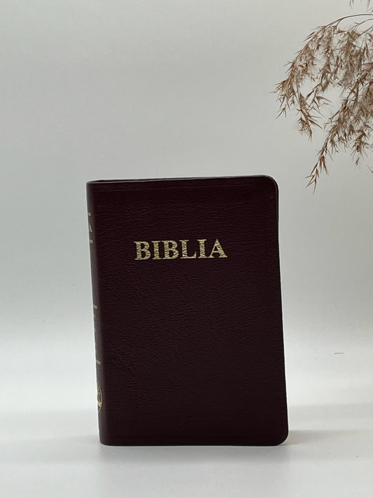 Biblia SBR 047 TI - vișiniu