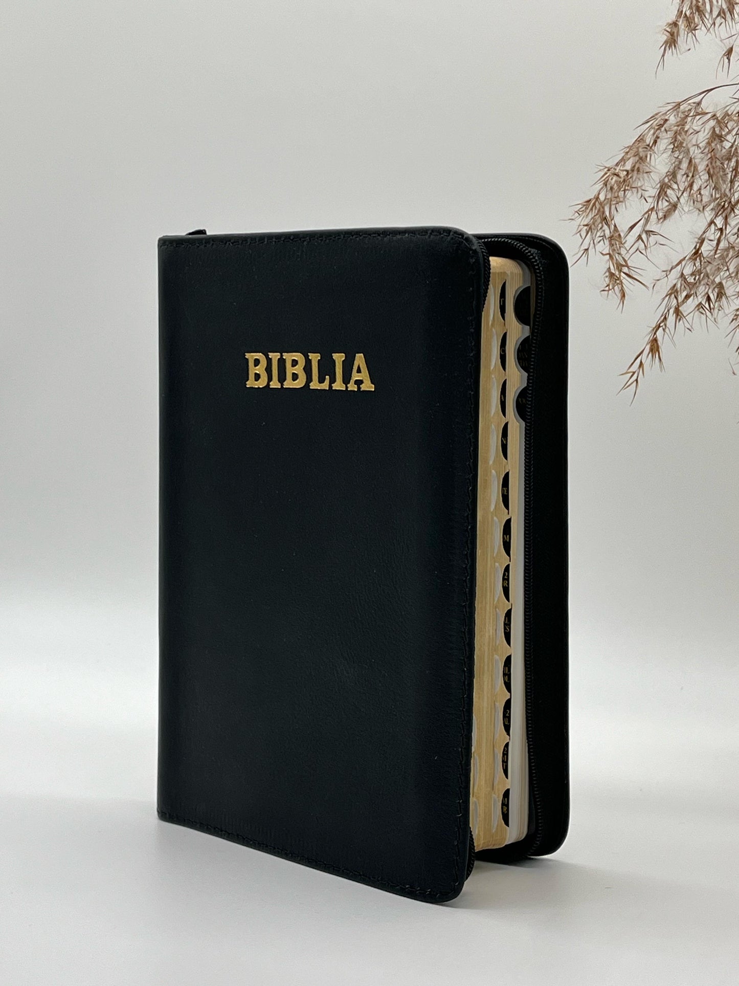 Biblia SBR 057 ZTI