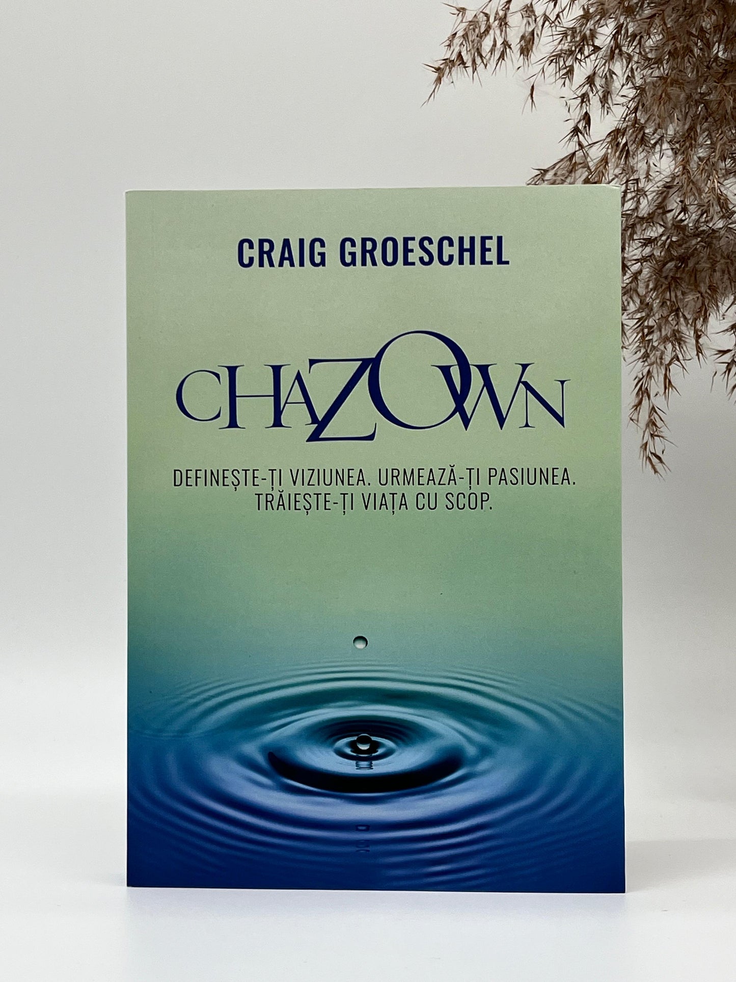 Chazown - 
Craig Groeschel