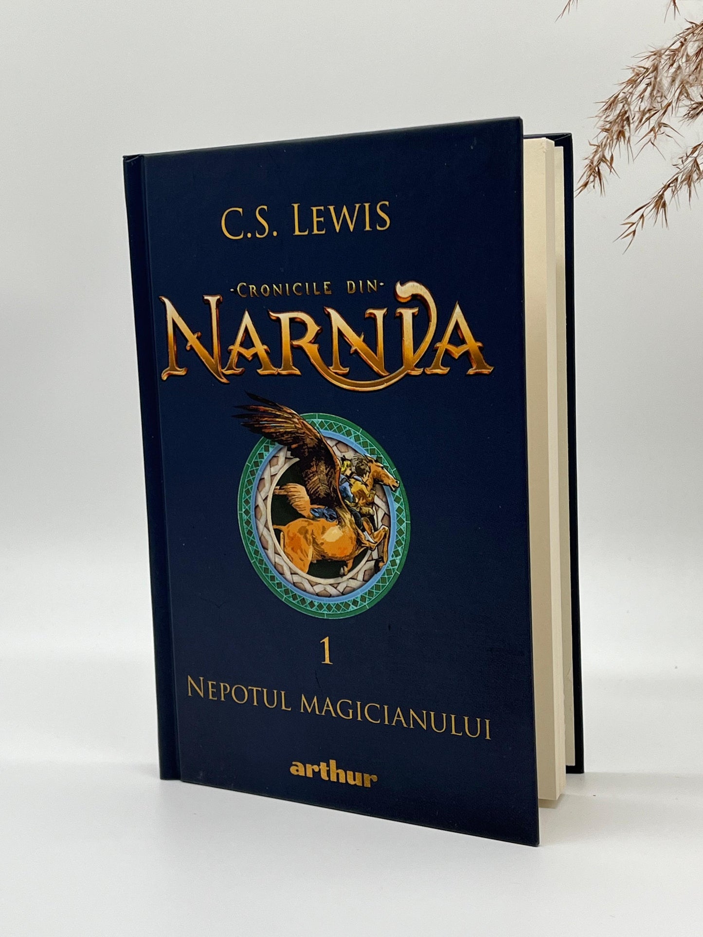 Nepotul magicianului [Cronicile din Narnia - Vol 1]
C. S. Lewis