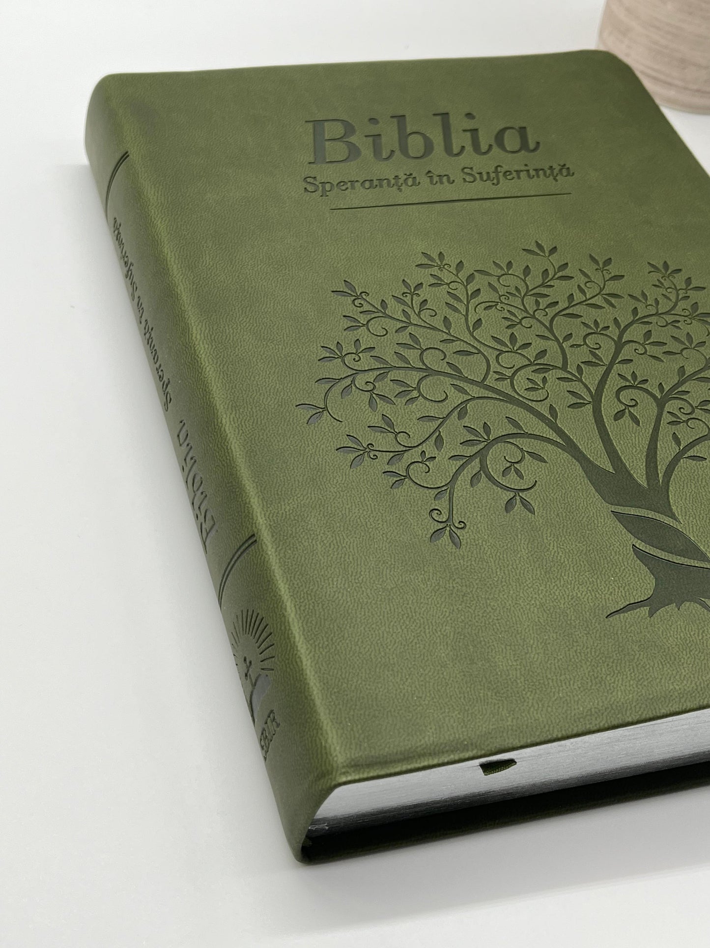 Biblia Speranță în suferință - Verde