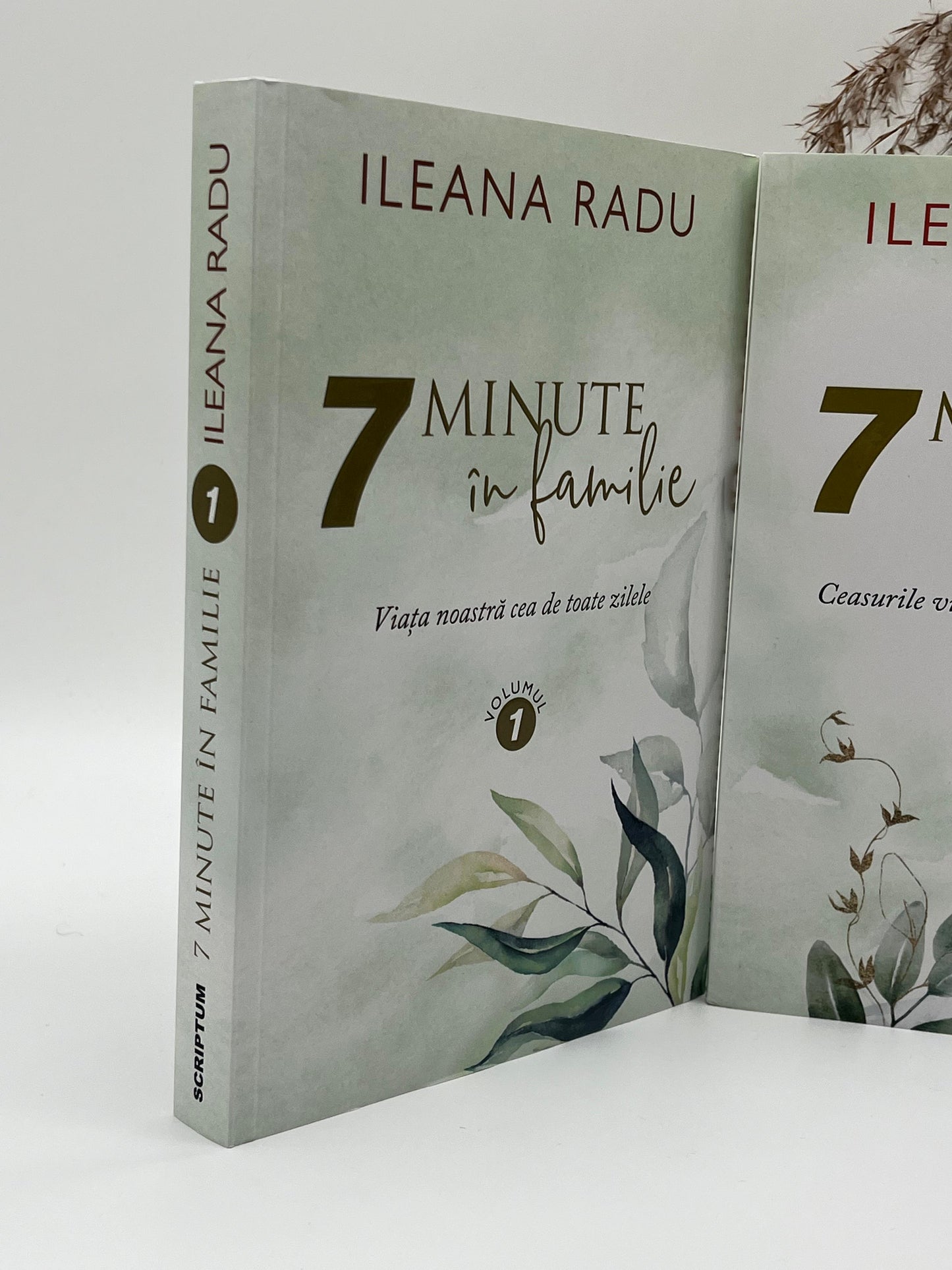 7 minute in familie (pachet 1+2) - 
Ileana Radu