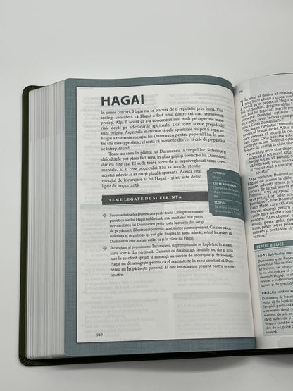 Biblia Speranță în suferință - Verde