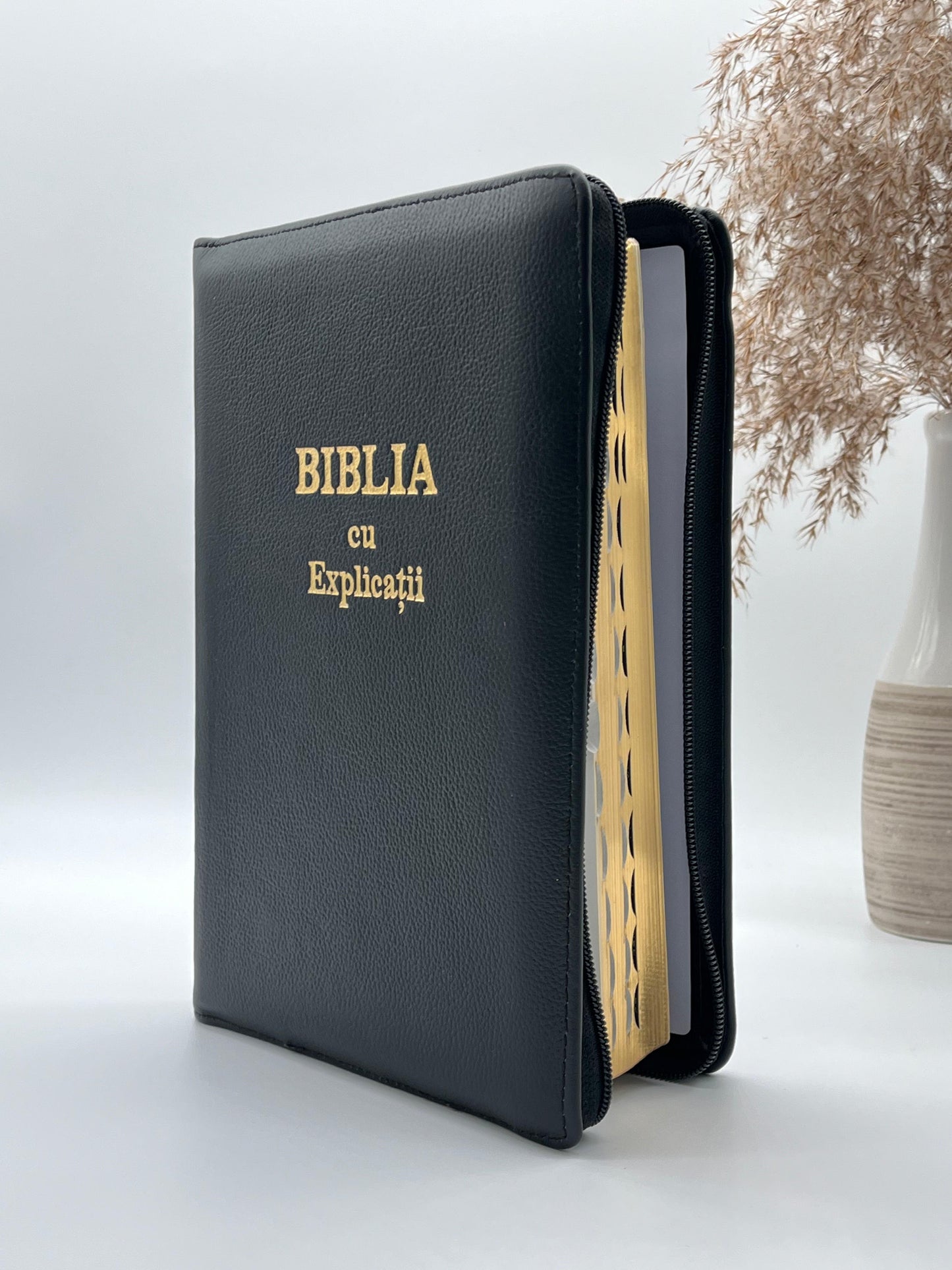 Biblia 077 ZTI - Concordanță și Explicații