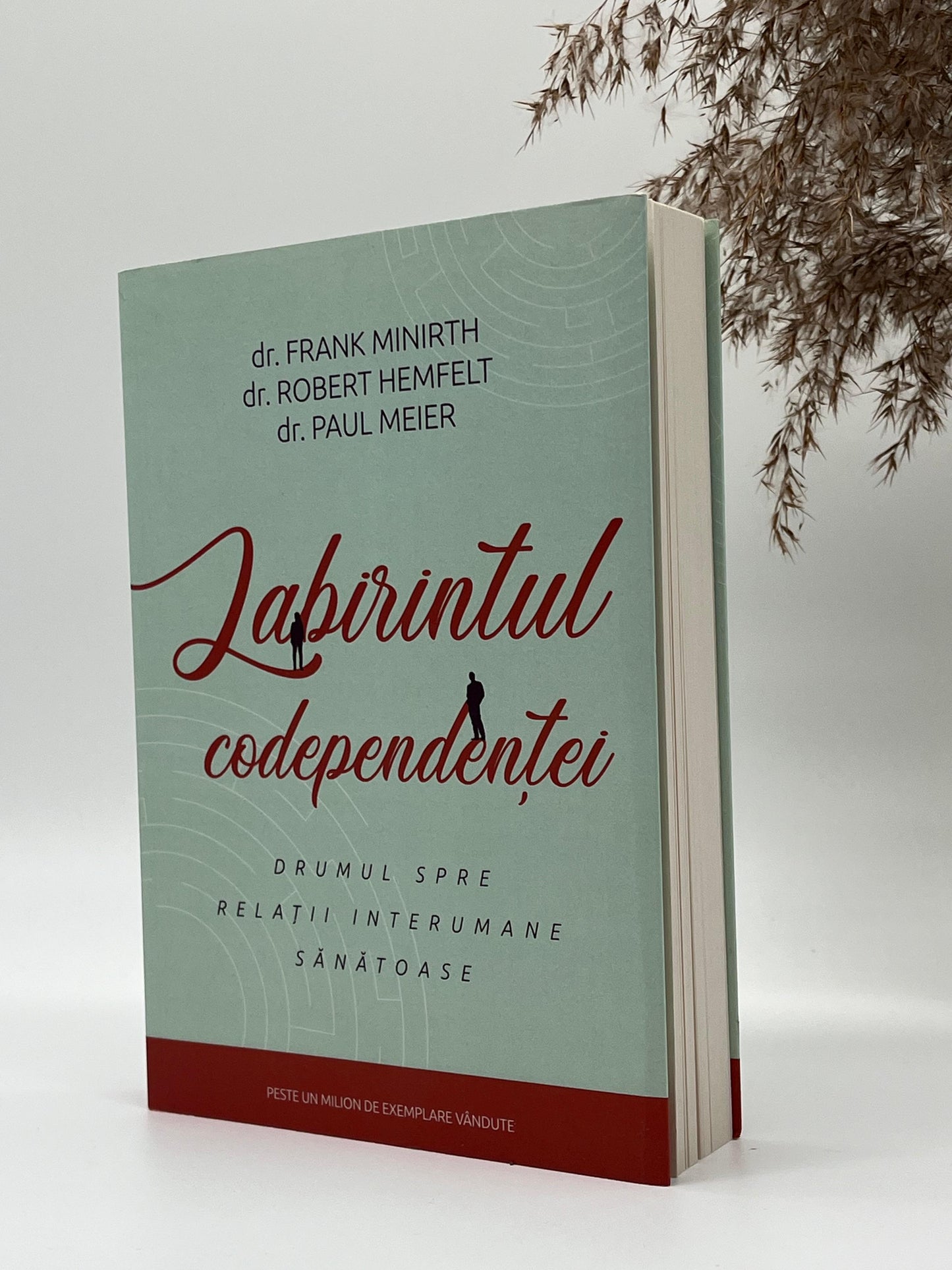 Labirintul codependenței - drumul spre relații interumane sănătoase -
Dr. Robert Hemfelt; Dr. Frank Minirth; Dr. Paul Meier