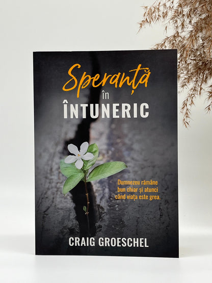 Speranța în întuneric  - 
Craig Groeschel