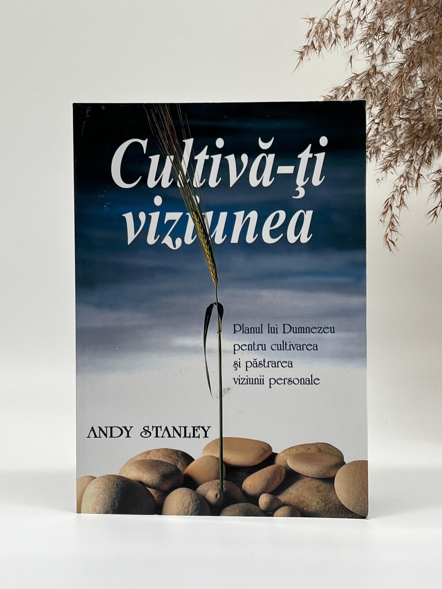 Cultivă-ți viziunea. Planul lui Dumnezeu pentru cultivarea și păstrarea viziunii personale - 
Andy Stanley