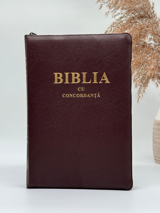 Biblia CO 087 ZTI