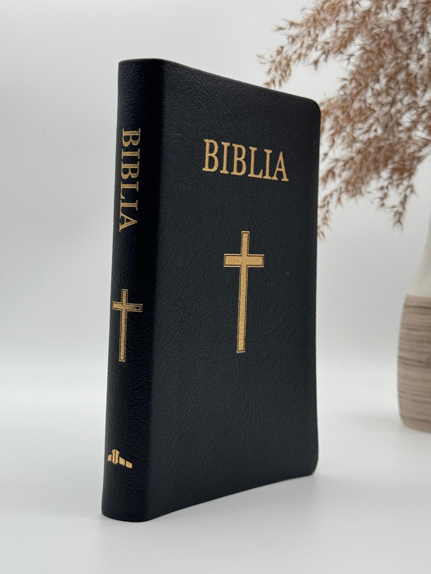 Biblia VS 063 TI