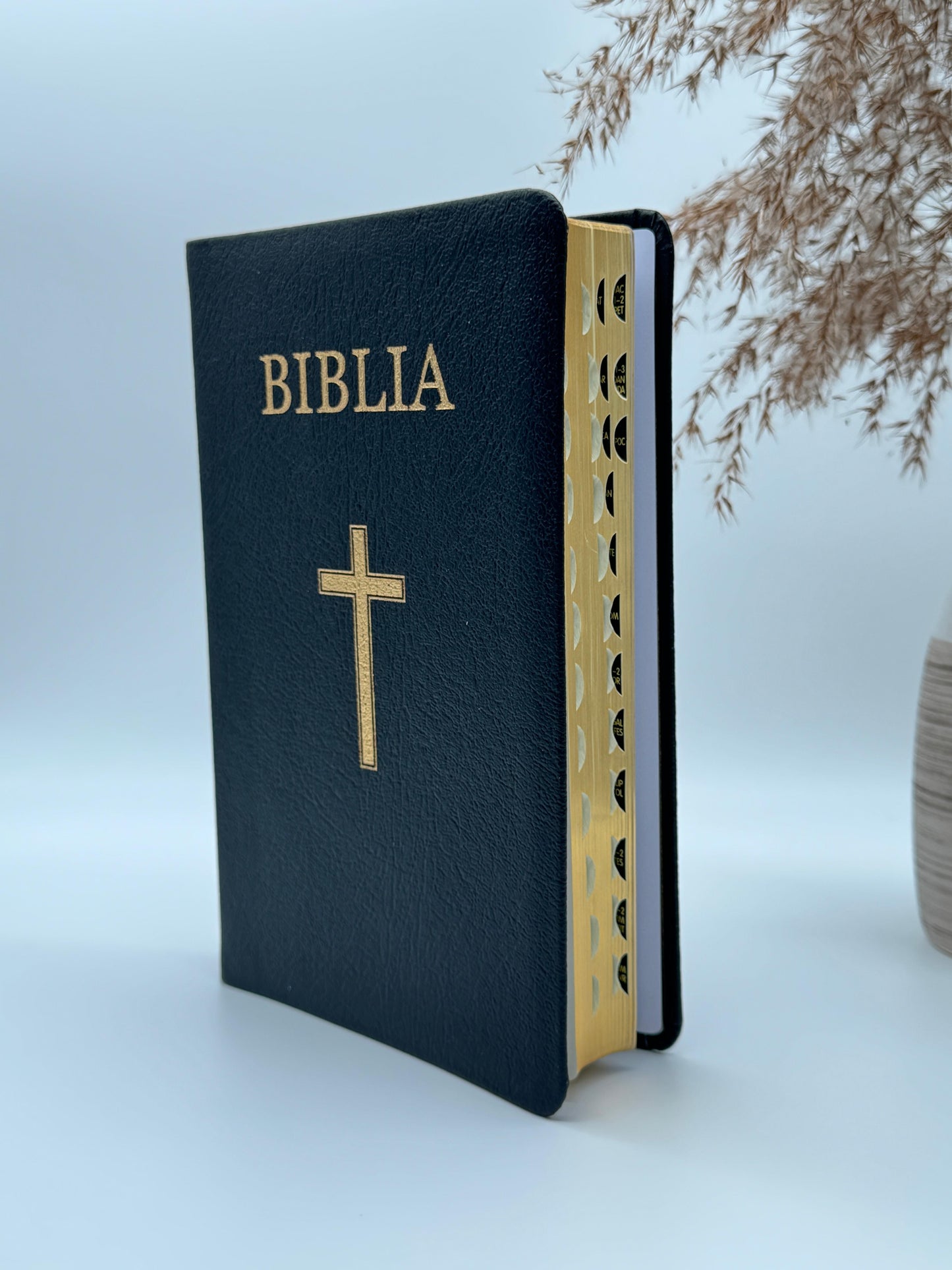 Biblia VS 063 TI