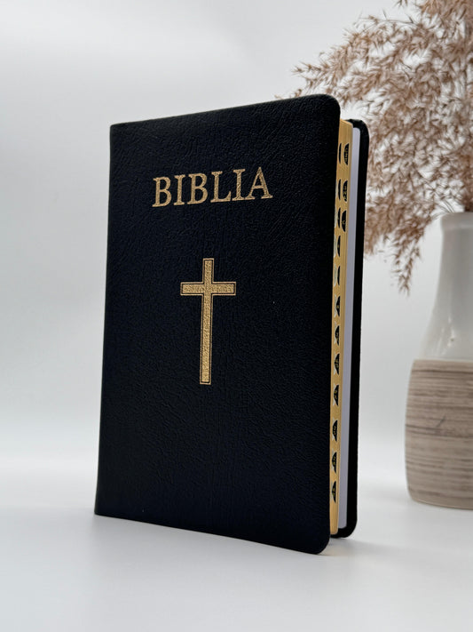 Biblia VS 063 TI