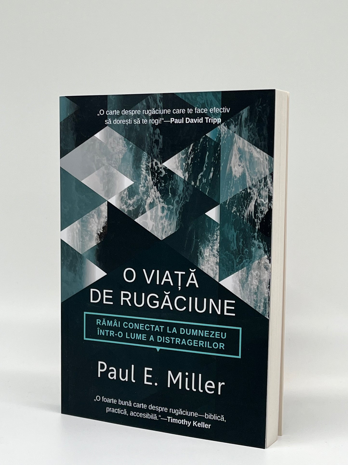 O viață de rugăciune. Rămâi conectat la Dumnezeu într-o lume a distragerilor - Paul E. Miller