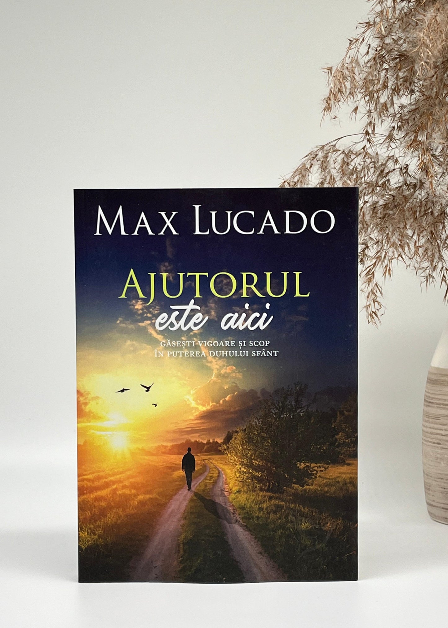 Ajutorul este aici - Max Lucado