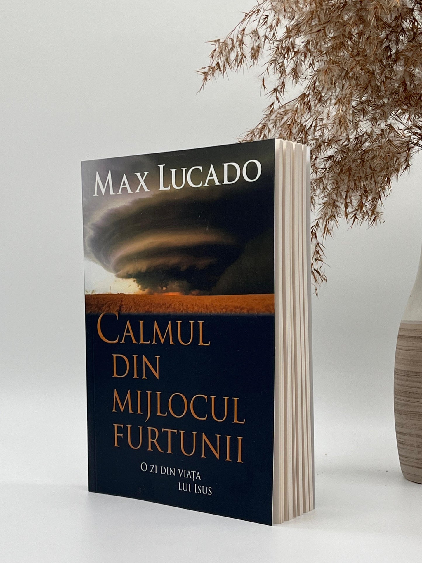 Calmul din mijlocul furtunii - Max Lucado