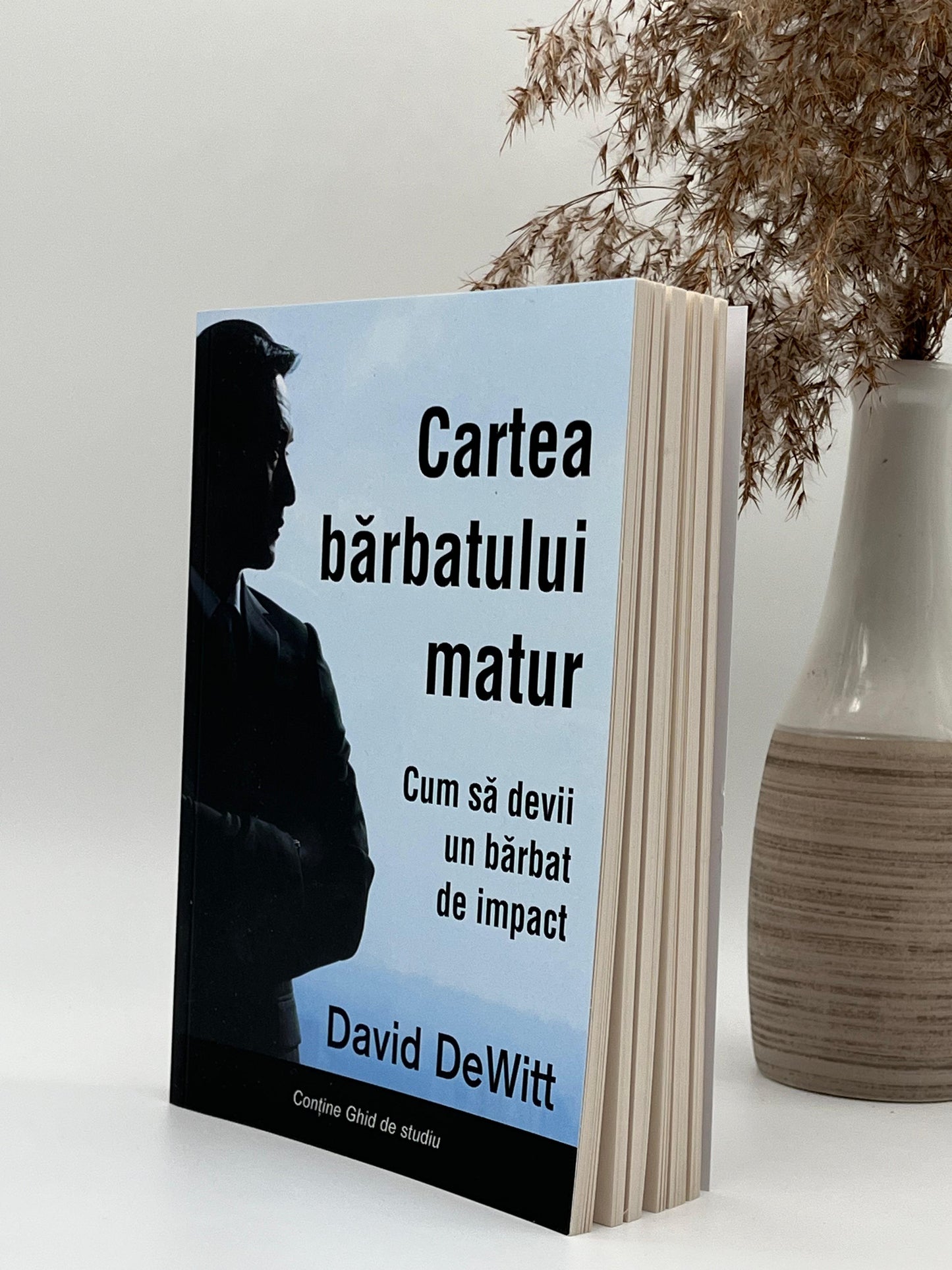 Cartea bărbatului matur - David DeWitt