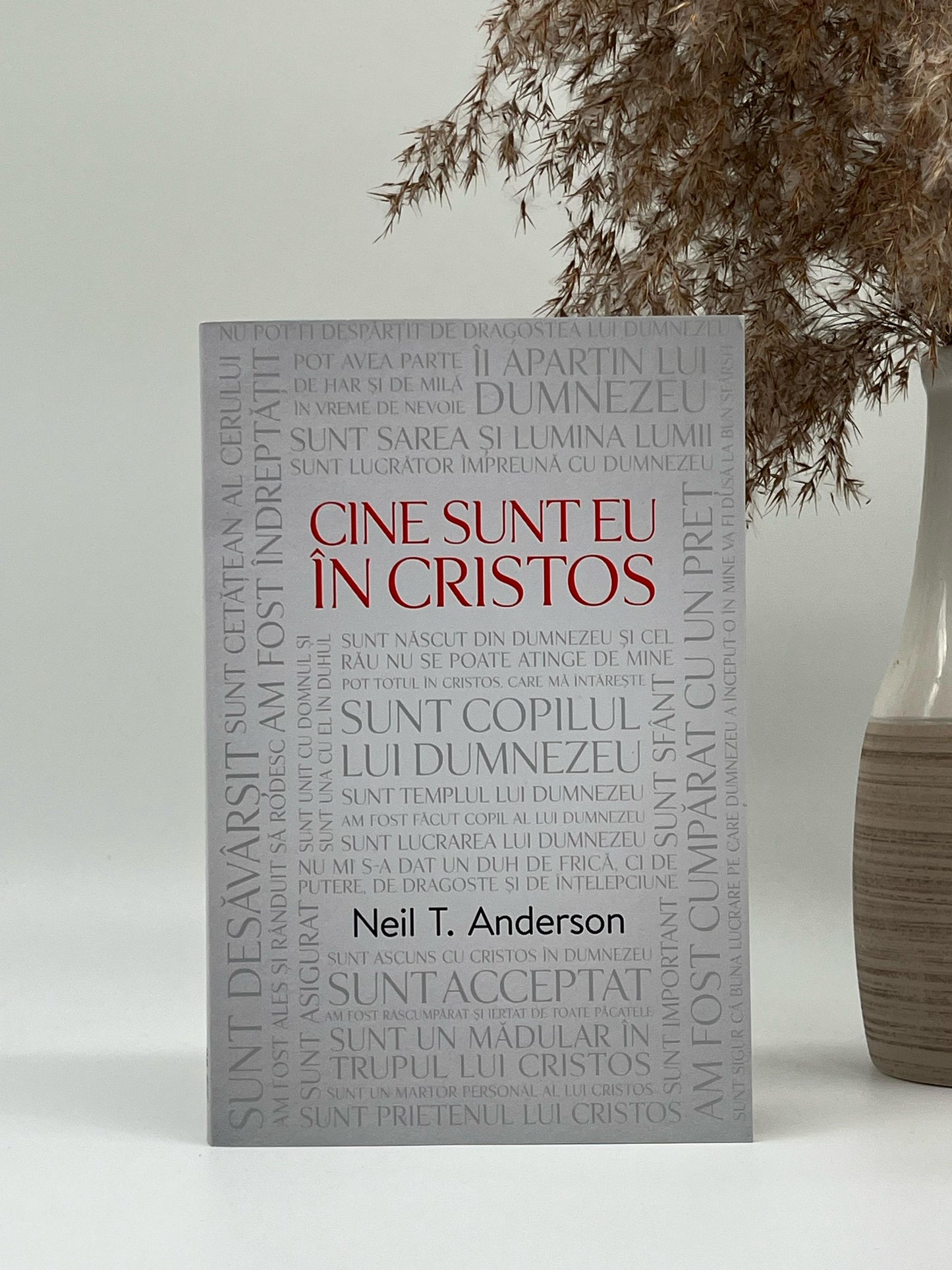 Cine sunt eu în Cristos - Neil T. Anderson