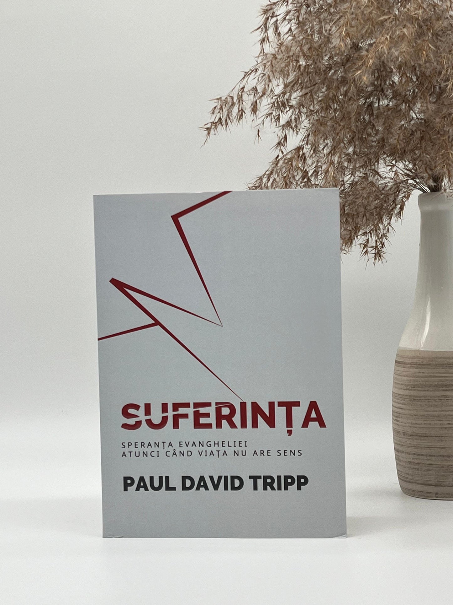 Suferința - Speranța Evangheliei atunci când viața nu are sens - Paul David Tripp
