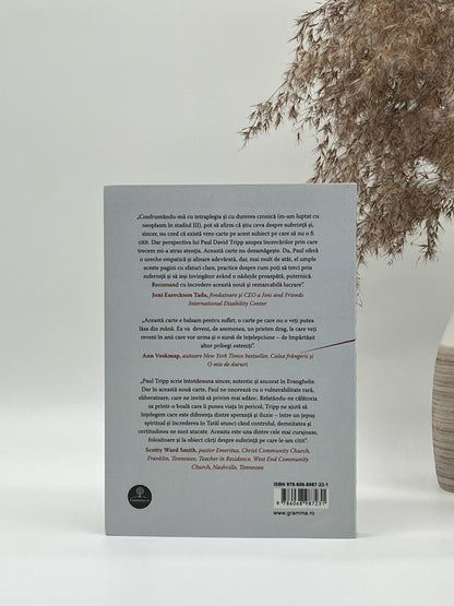 Suferința - Speranța Evangheliei atunci când viața nu are sens - Paul David Tripp