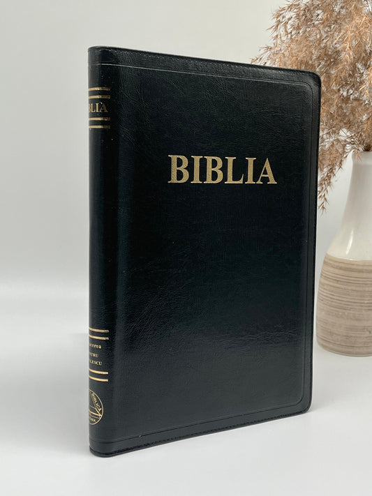 Biblia SBR ICAM 083 ZG
