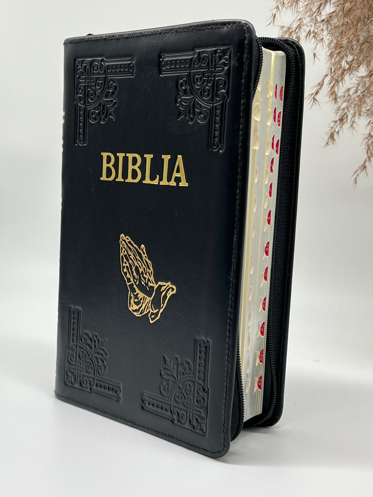 Biblia Noua Traducere 073 HM