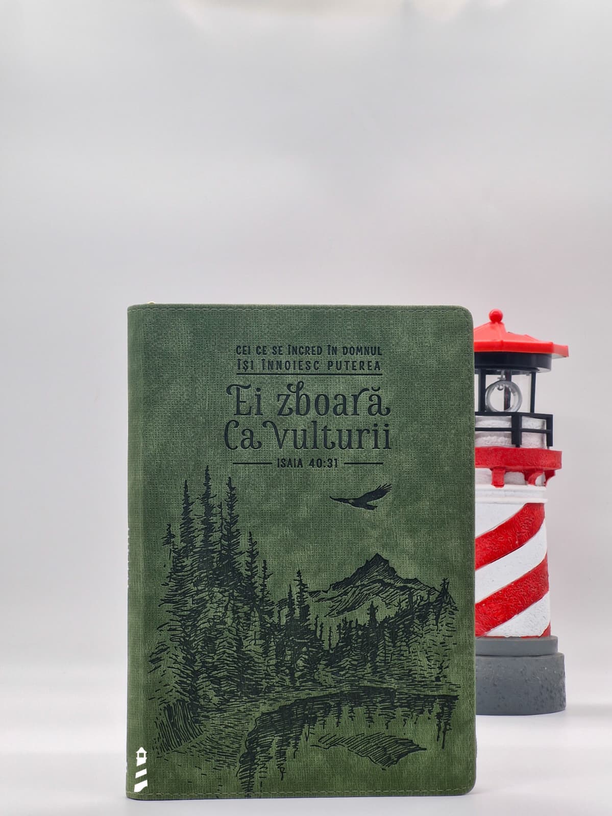Jurnal - Ei zboară ca vulturii