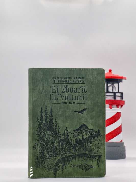 Jurnal - Ei zboară ca vulturii