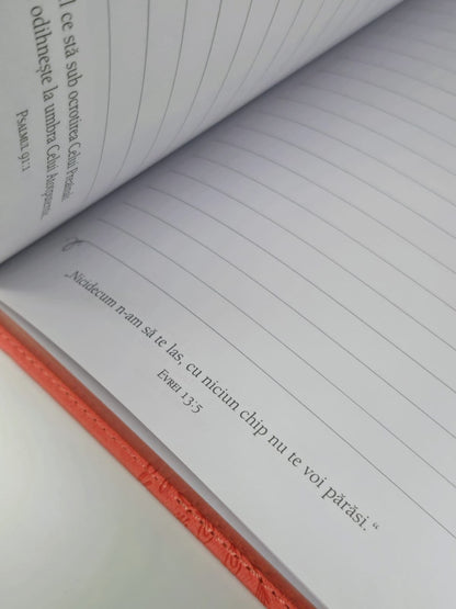 Jurnal din piele - Căci eu cunosc planurile