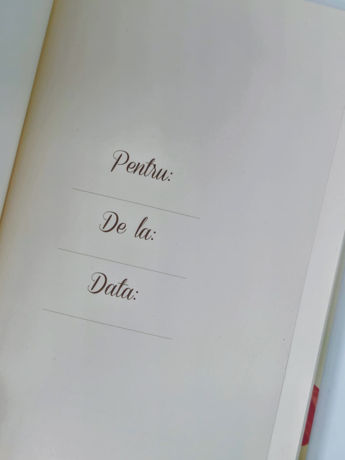 Jurnal din piele - Căci eu cunosc planurile