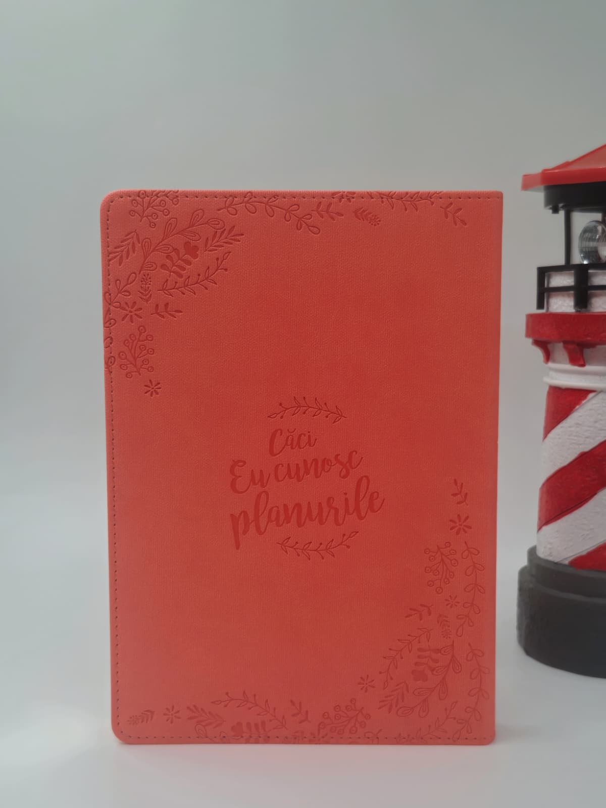 Jurnal din piele - Căci eu cunosc planurile