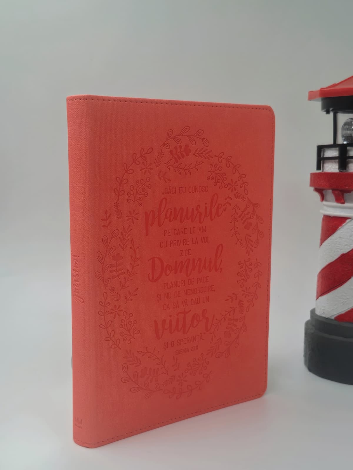 Jurnal din piele - Căci eu cunosc planurile