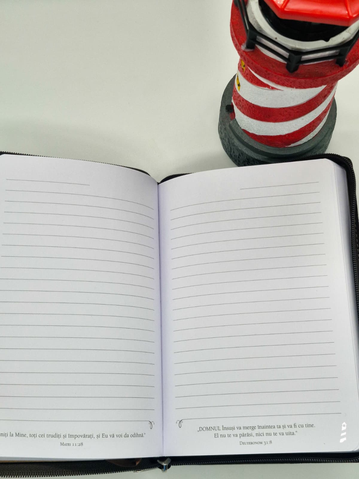 Jurnal Fii puternic și curajos