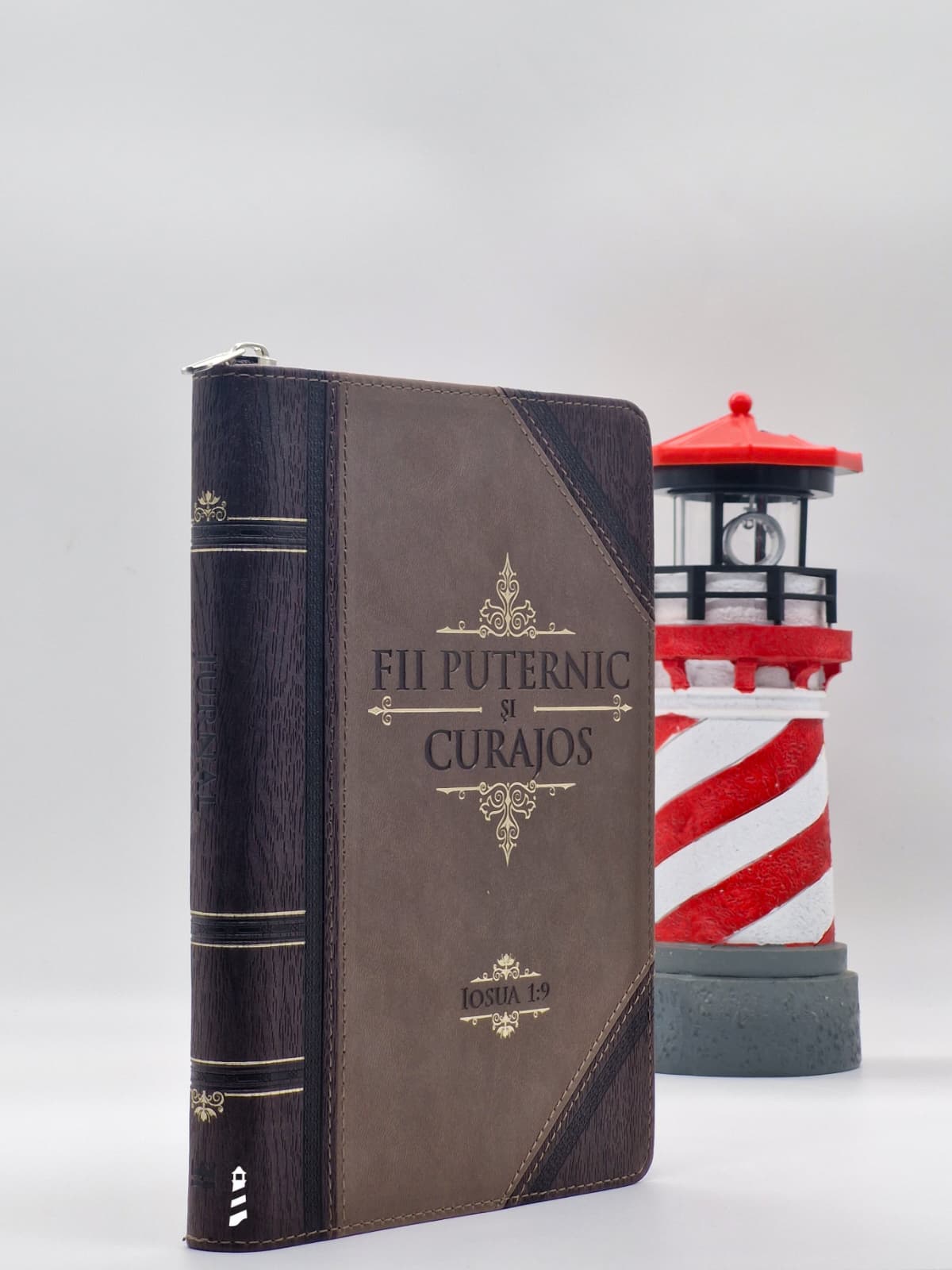 Jurnal Fii puternic și curajos